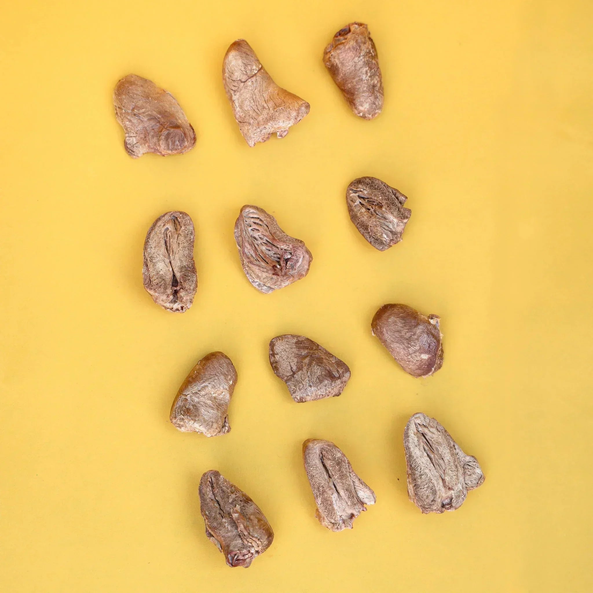 Freeze Dried vs Air Dried Dog Treats — What's the Difference? - ThePawsHQ
