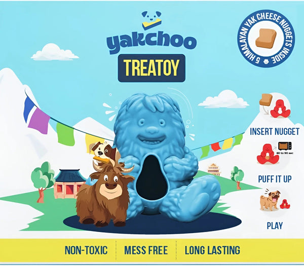 Toys & Enrichments