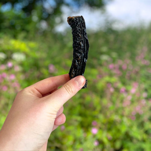 Beef Liver Dog Treats (100g) – Natural High Protein Dog Snack