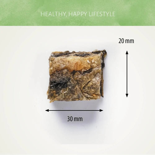 Antos Nova Fish D’Light Squares 100g natural dog treat UK