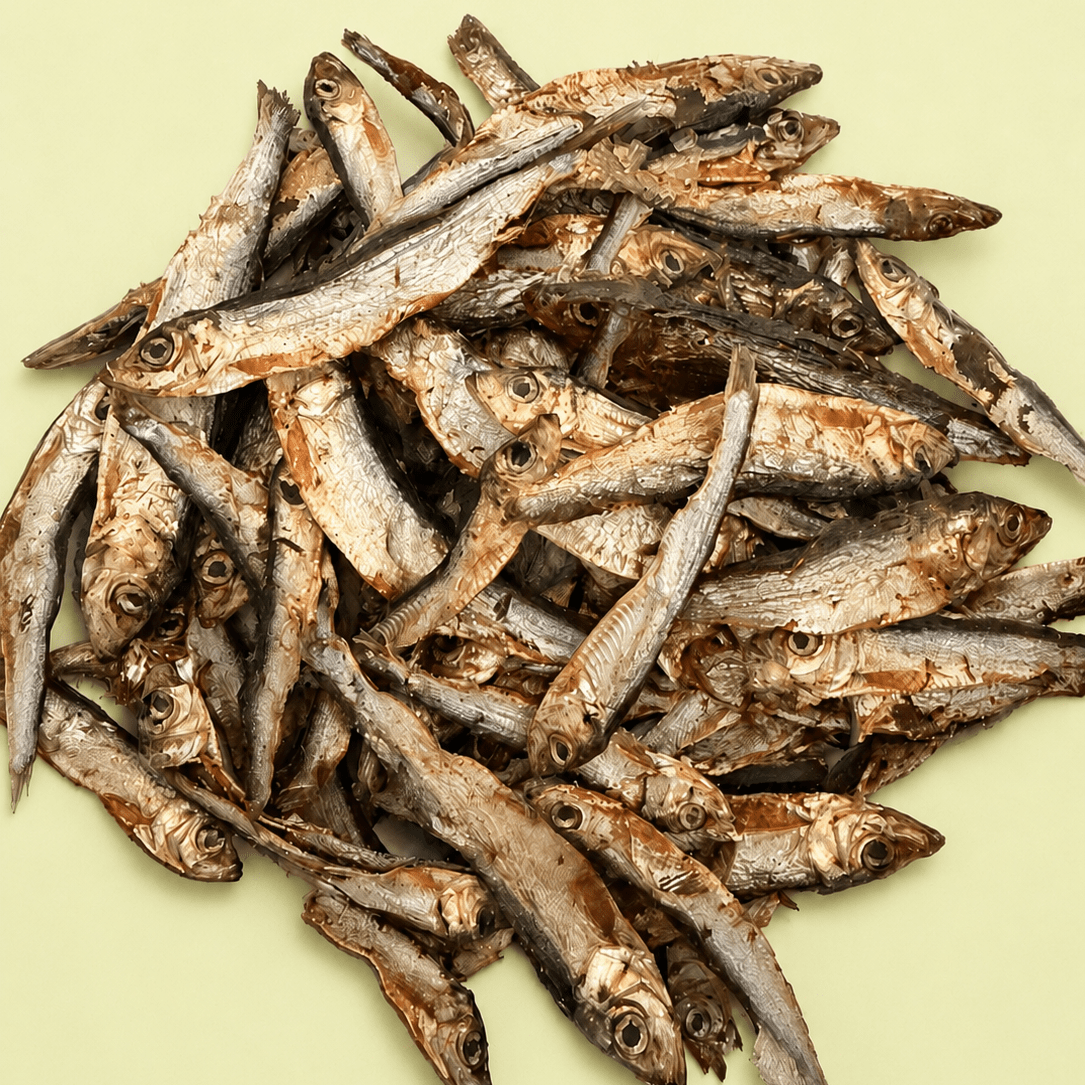 A pile of dried small fish, arranged on a solid pale yellow-green background.