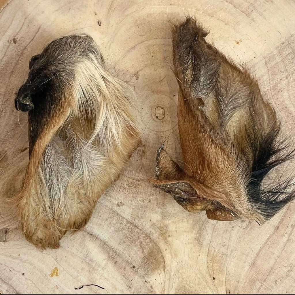 Hairy Cow Ear Dog Chew – Natural Long Lasting Treat natural dog treat UK