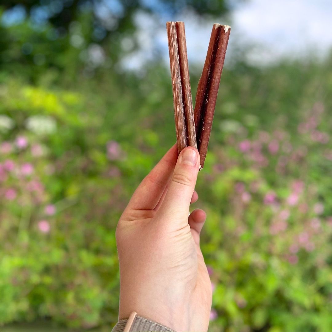 Natural Bully Pizzle Stick natural dog treat UK
