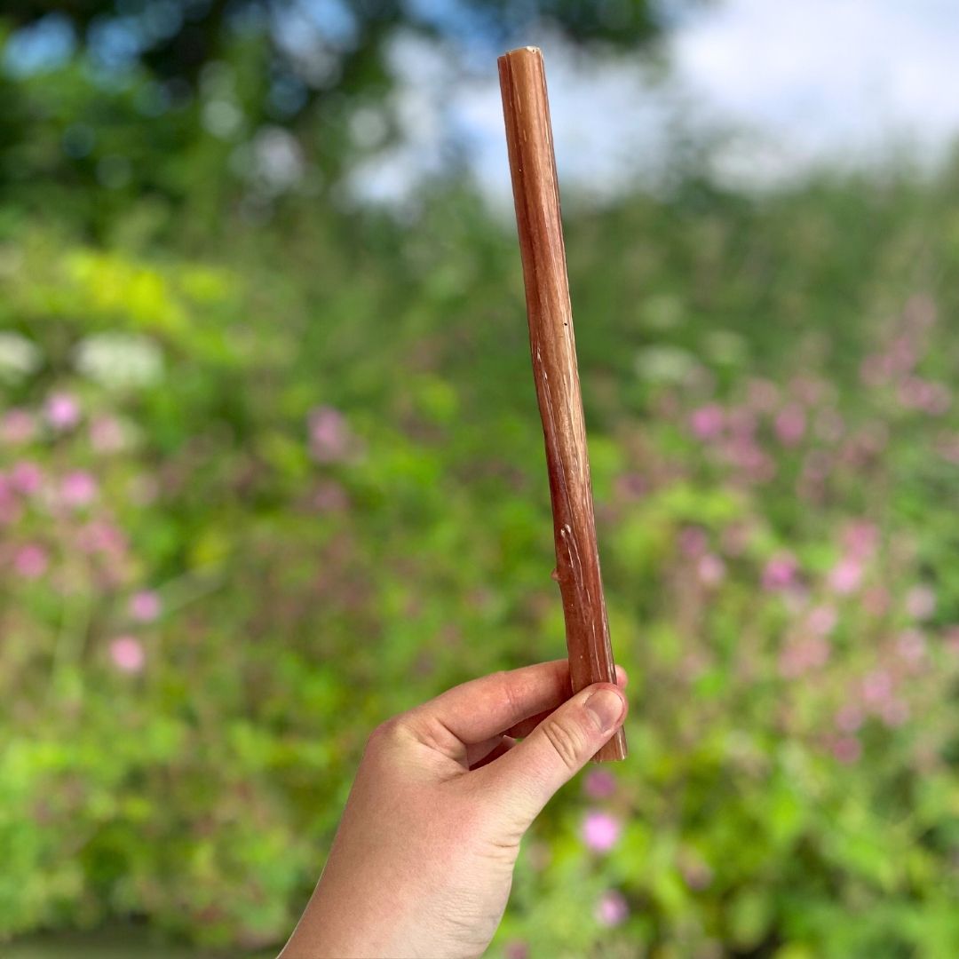 Natural Bully Pizzle Stick natural dog treat UK
