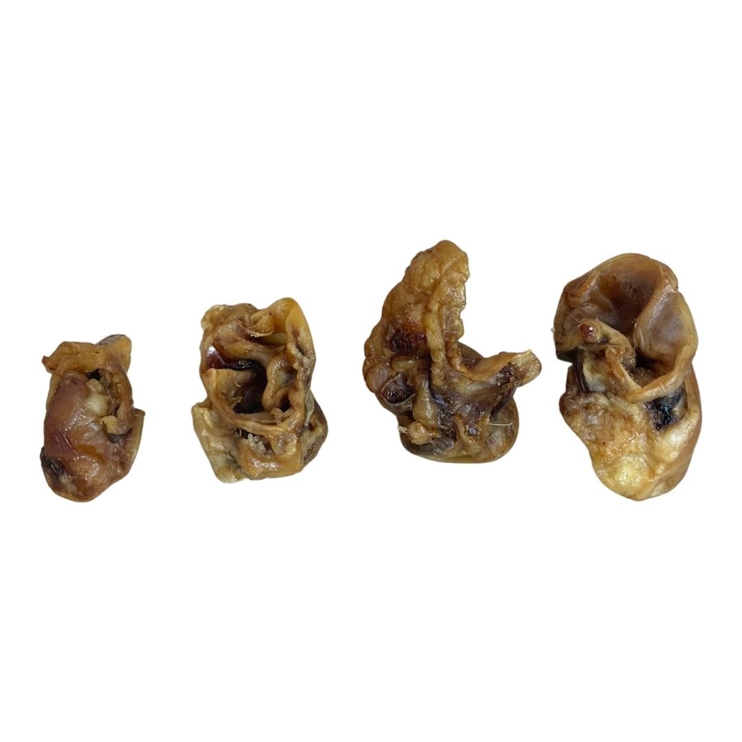 Porky Bites 500g natural dog treat UK