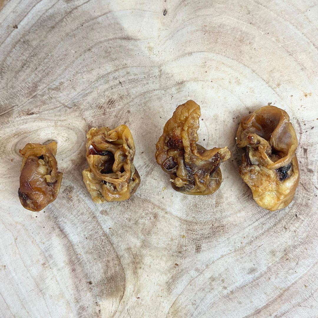 Porky Bites 500g natural dog treat UK