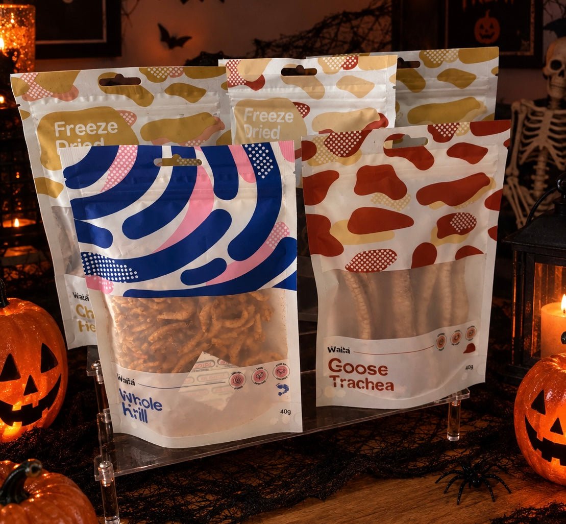 Trick or Treat Bundle natural dog treat UK