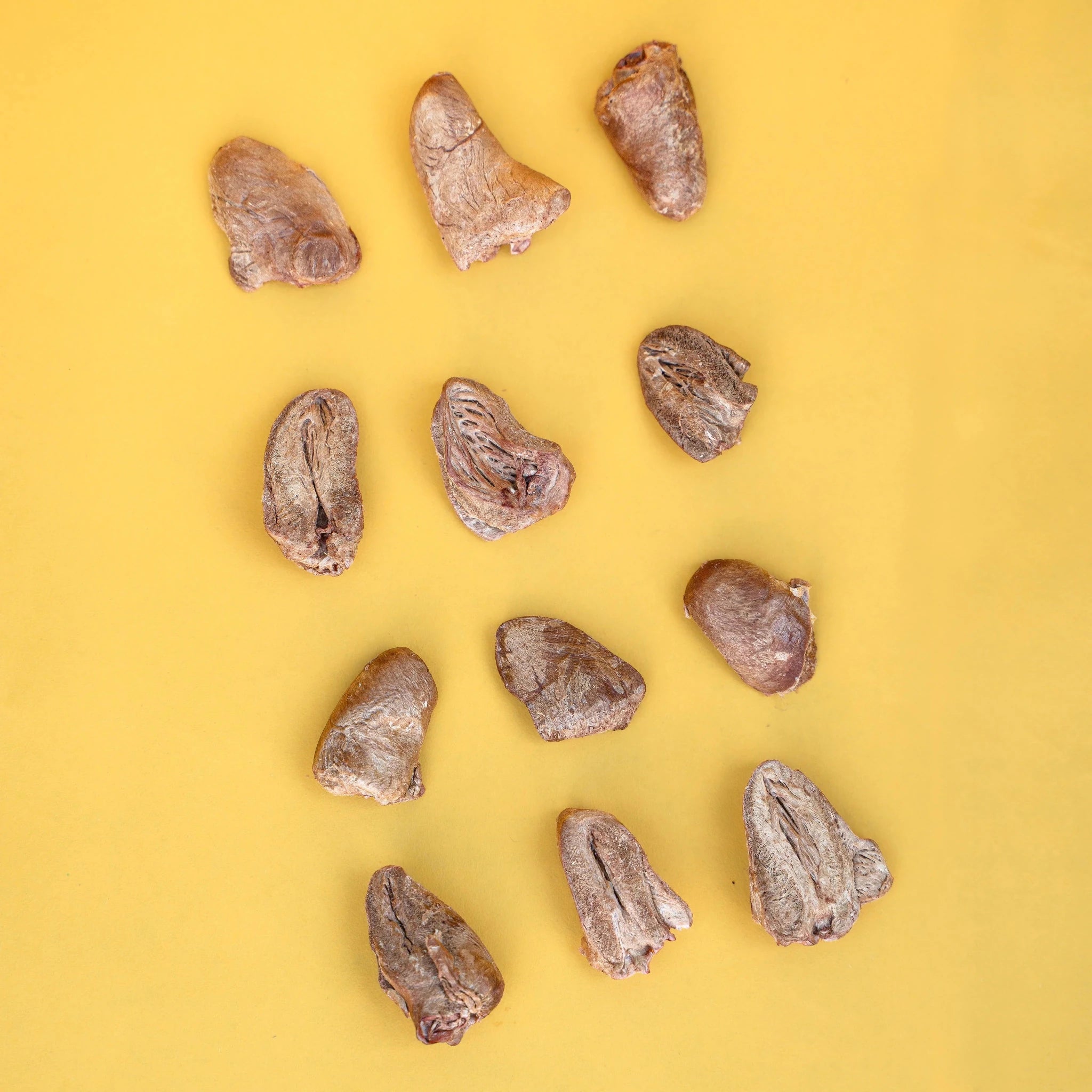 Waita Freeze Dried Chicken Heart 40g natural dog treat UK