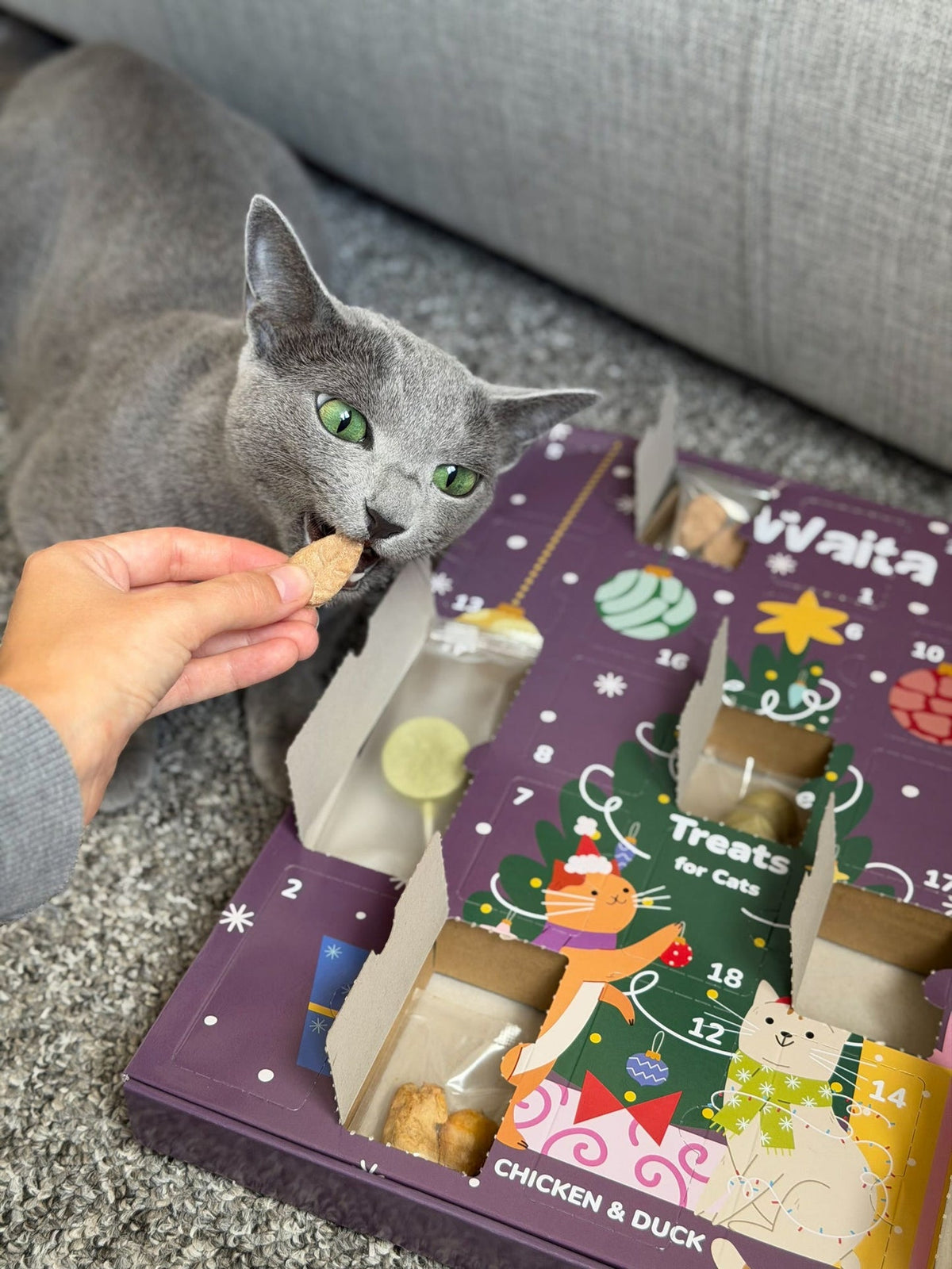 Waita Freeze-Dried Christmas Advent Calendar for Dogs & Cats natural dog treat UK